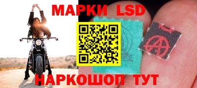 шишки Свободный