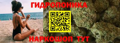 шишки Свободный