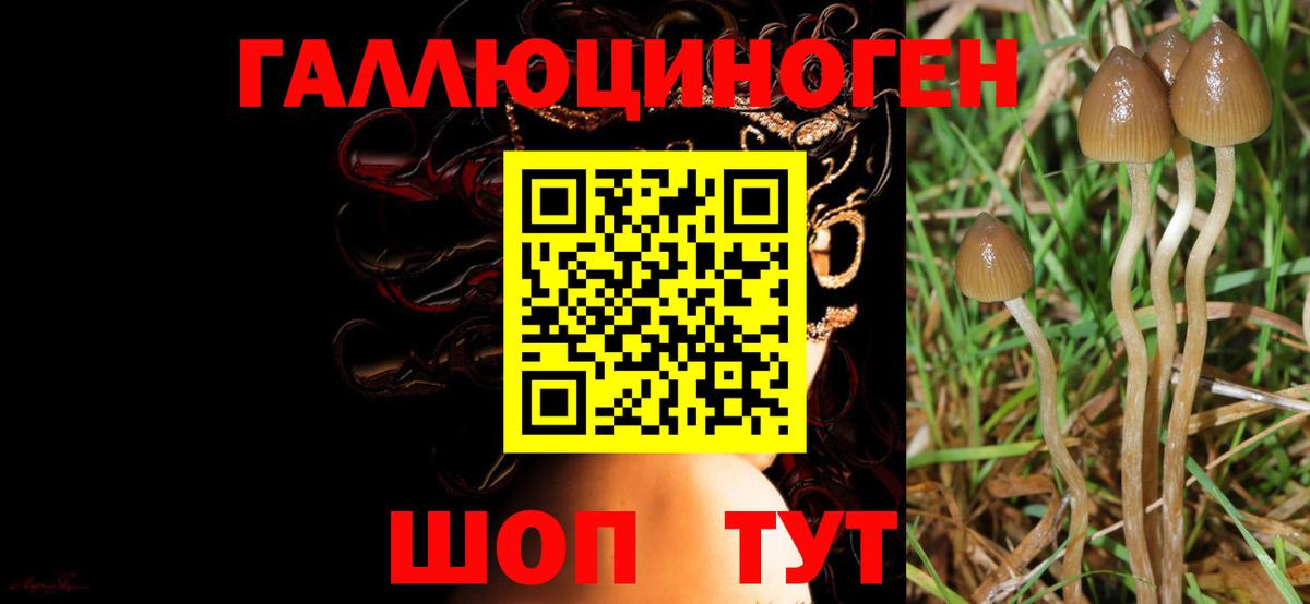 Галлюциногенные грибы Magic Shrooms  Вход с VPN  Орехово-Зуево 